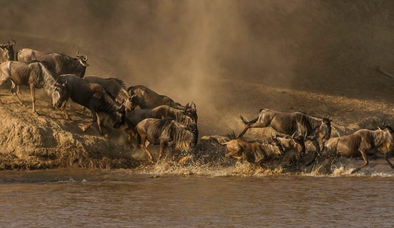 6-Day Serengeti Migration Experience