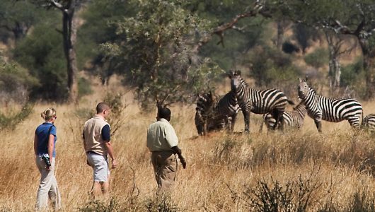 Safari-in-Tarangire-National-Parkssa