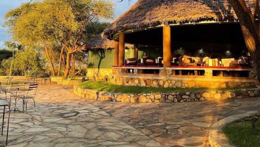 9-Day Serengeti Tarangire and Manyara Safari Experience